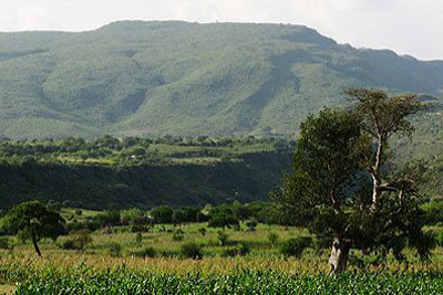 Reforestation revived Humbo Mountain in Ethiopia.